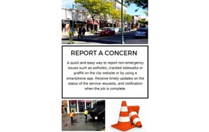 NF Report a concern.jpg